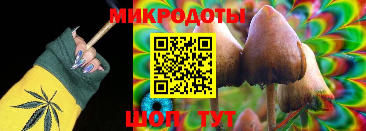 Псилоцибиновые грибы GOLDEN TEACHER  Вход с VPN  как найти закладки  Жуковский 