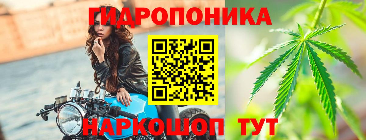 Марихуана VHQ  Шишки марихуана OG Kush  Жуковский  Шишки марихуана план  Вход с VPN  Конопля планчик 